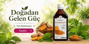 Zerdeçal Ekstraktı Curcumin-p53 250 ML